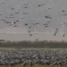 discovery new insight into how ancient humans used birds 128012