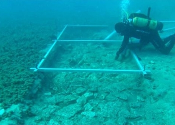 discovery of a 7 000 year old road beneath the adriatic sea 127384