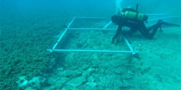 discovery of a 7 000 year old road beneath the adriatic sea 127384