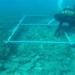 discovery of a 7 000 year old road beneath the adriatic sea 127384