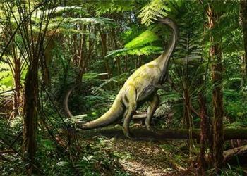 discovery of a new rare monster in the jura 128419