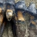 discovery of ancient marble while walking on us beach 127853