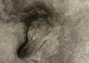 discovery of footprints reveals human life 300000 years ago 127719