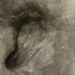 discovery of footprints reveals human life 300000 years ago 127719