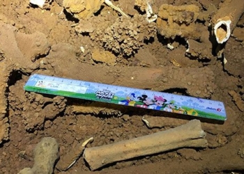 discovery of species of fossils in caves in ha long bay 127699