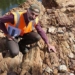 discovery of the first unknown predators on earth in australia 127945