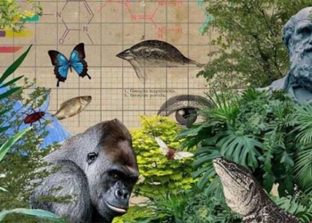 discovery of the turning point in the evolution of our ancestors hundreds of thousands of years ago 127942