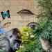 discovery of the turning point in the evolution of our ancestors hundreds of thousands of years ago 127942