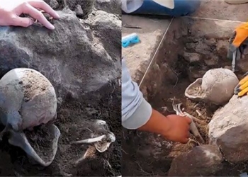 discovery of two giant humanoids with heart shaped figure 128904