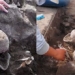discovery of two giant humanoids with heart shaped figure 128904