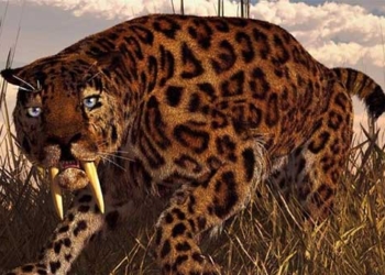 discovery of two monster cats that could alter humans 128780
