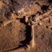 discovery of two unique columns breaking the record in cave 127491