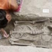 discovery of womens skeletal remains in rome 5900