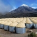 discovery sunlight brings highest energy 129084