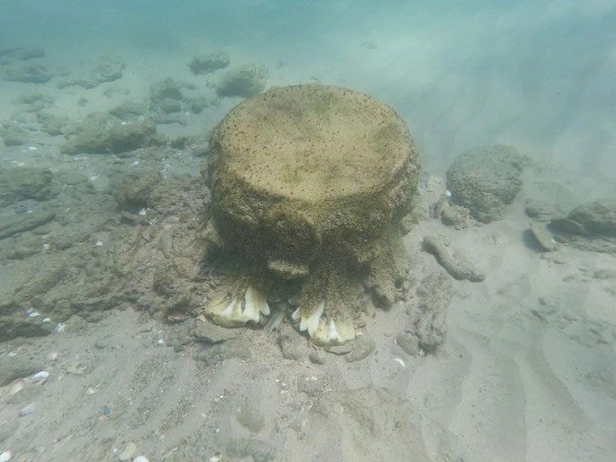 Another detail revealed shows intricate carvings still preserved after nearly 2 millennia
