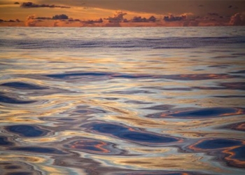 do you know which ocean is the most expensive in the world 127949