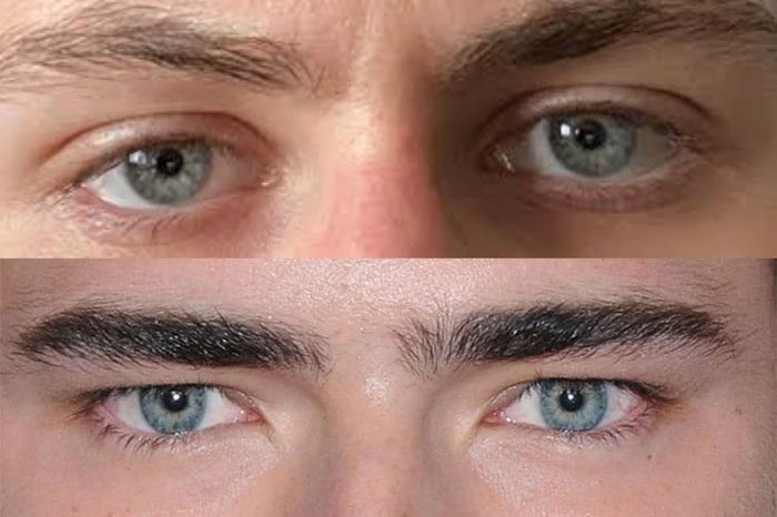 Under these environmental pressures, the evolution of human eyes may have been influenced.
