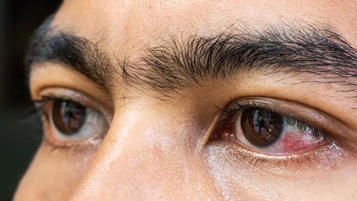 The two eyes of humans positioned on the face are the result of a long evolutionary process.