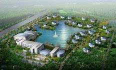 dongtam