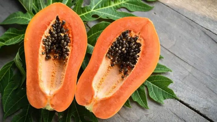 Papaya leaves and fruit.