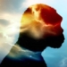 evidence of life shows that we are the remaining of the human species 127560