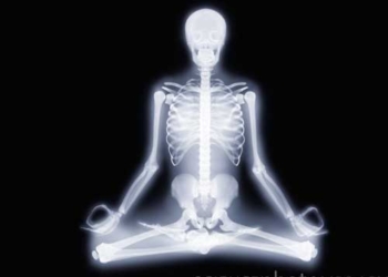 explore human through x ray 5165