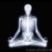explore human through x ray 5165