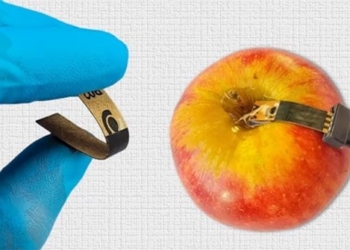 fast detection sensor for remaining pesticide in food 127189