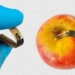 fast detection sensor for remaining pesticide in food 127189