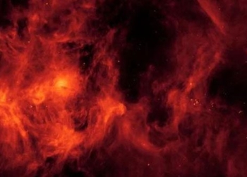 finding the signal of life from 1 000 light years 128443