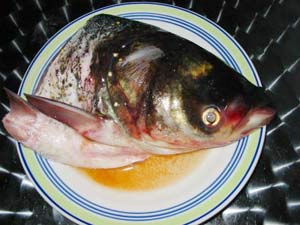 Fish Head