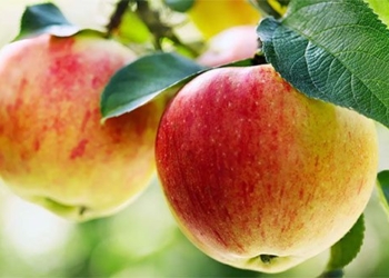 foods you should eat for dinner to fight disease 127184