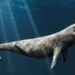 fossil 152 million year old t rex ocean reveals surprise in museum 127463