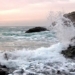 gift basket under the sea to save squid dishes along the coast 126906