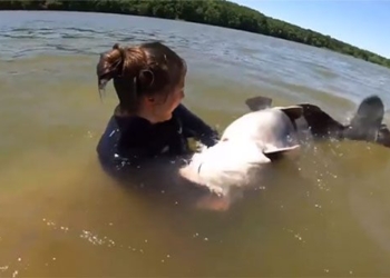 girl uses hands to catch a 30kg monster underwater 127879