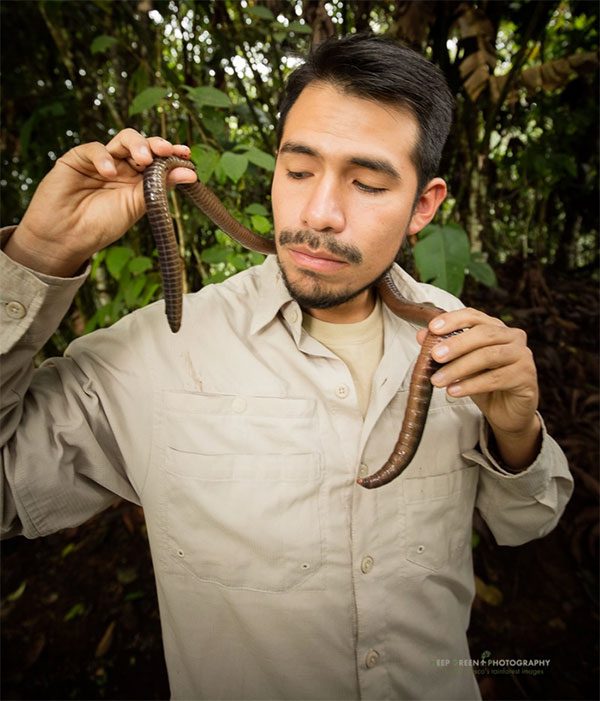 This worm lives in nutrient-rich soil and dense vegetation.