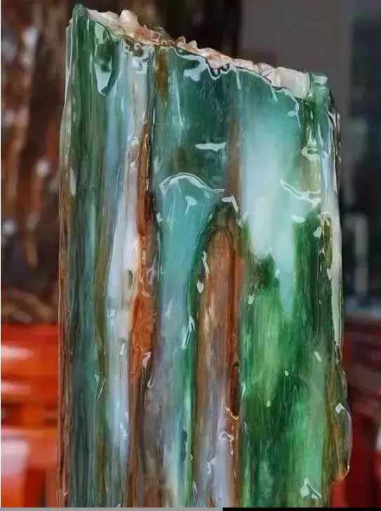 "The petrified wood" dates back 200 million years.