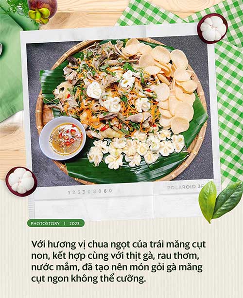 Chicken Salad with Mangosteen
