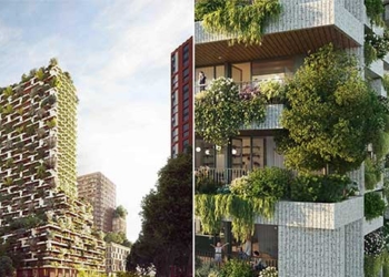 green roof building 10 000m2 forest 127838