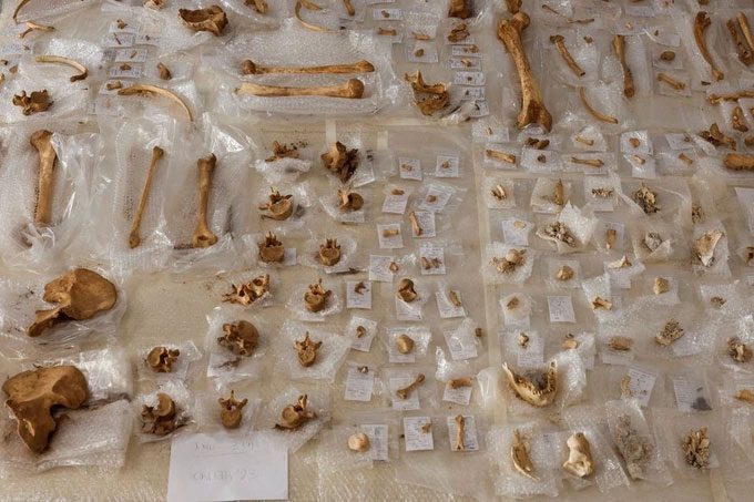 The skeletons found on the cliff.