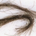 hair 3000 years reveals a truth about ancient europeans 126937