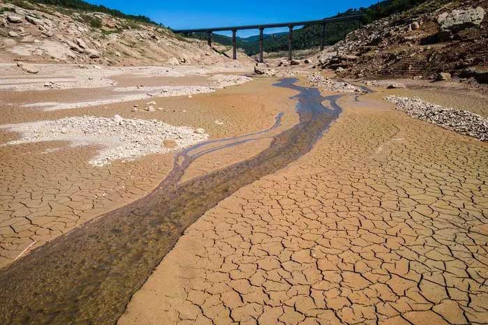Scientists warn about the current state of global warming.