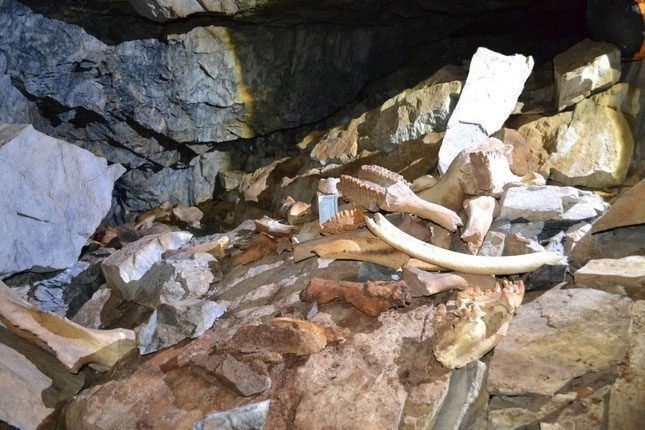 The bones found inside the cave in Siberia are 42,000 years old.