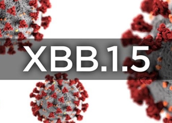 hcmc detects new subvariant of omicron 126936