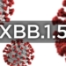 hcmc detects new subvariant of omicron 126936
