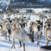 hidden weapons help fight climate change 127268