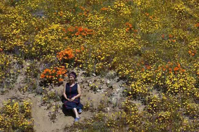 Strong storms sweep through and create a spectacular "super bloom" in the U.S.