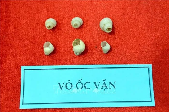 Artifacts obtained from the excavation of the Ngườm Sâu Cave archaeological site