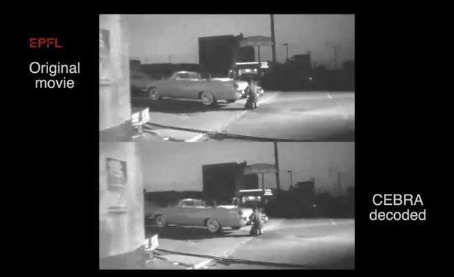Video seen by the mouse and video reconstructed by CEBRA.