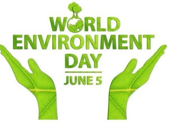 history and meaning of world environment day 5 6 127872